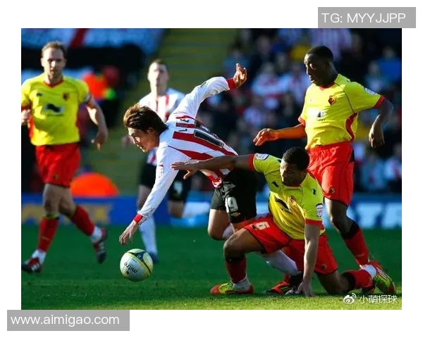 南安普顿与沃特福德的激烈对决谁能笑到最后解析比赛关键因素与球员表现