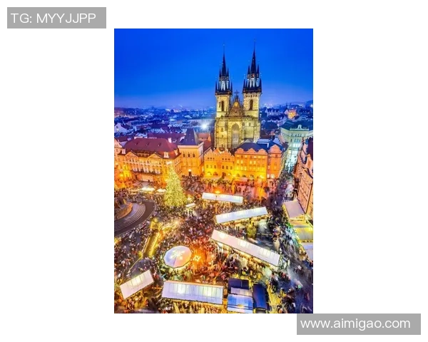 布莱克尼的魅力探寻：揭开这座城市的历史与文化之美