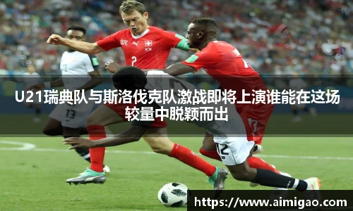 TVT体育官方网站