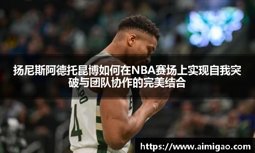 TVT体育手机下载