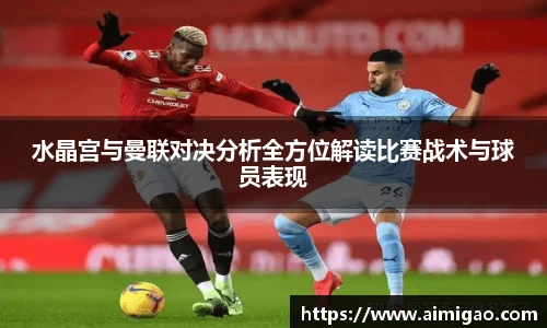 TVT体育手机下载